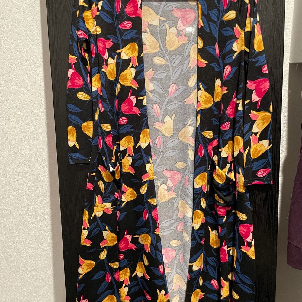 This is a LuLaRoe Sarah worn once